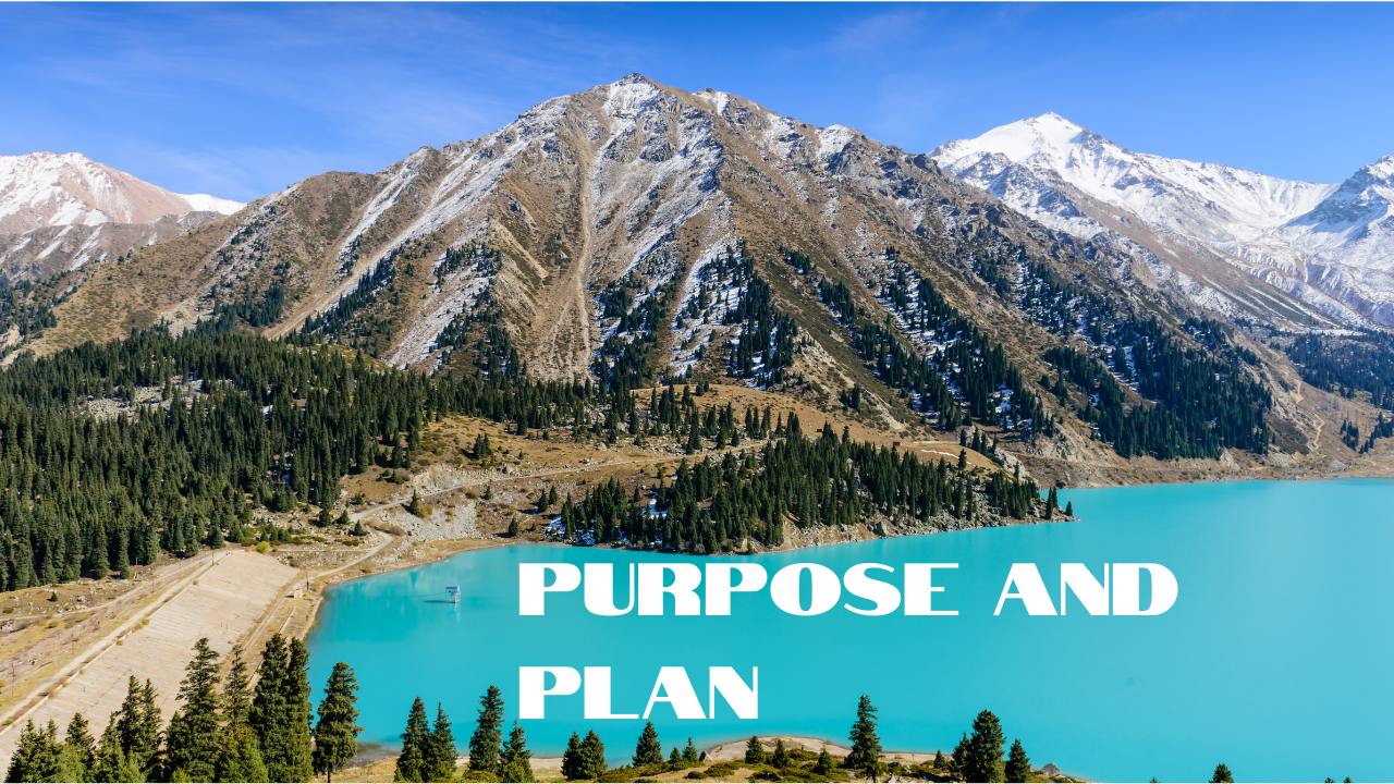 Purpose and P;lan